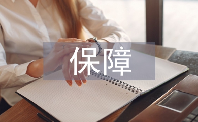 保障技術(shù)論文