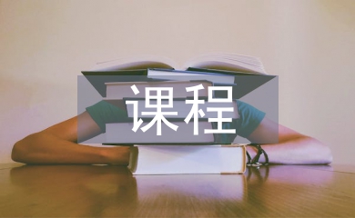 財政學(xué)課程論文
