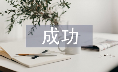 成功營銷策劃方案