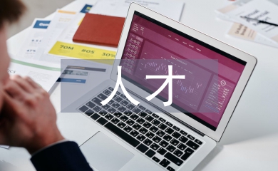 事業(yè)單位人才計(jì)劃