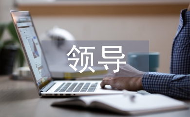 領導述職評議報告