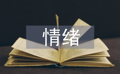 大學生情緒調節論文