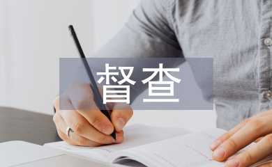 督查匯報材料