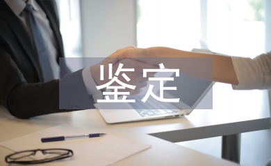 學年鑒定總結