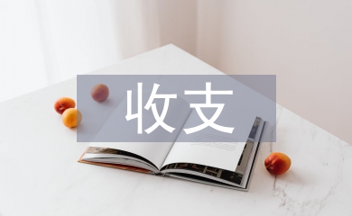 如何加強收支審計提高經濟效益