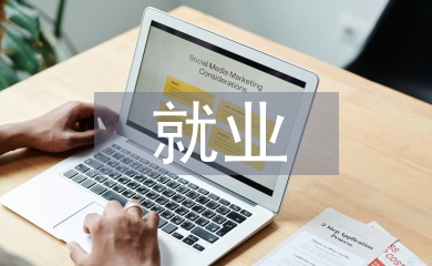 村委就業工作計劃