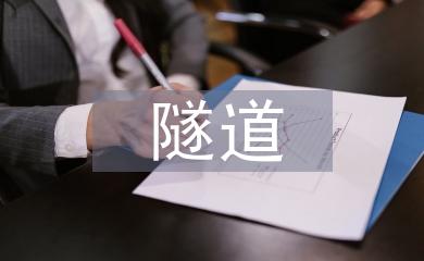 隧道預防性養護管理探析