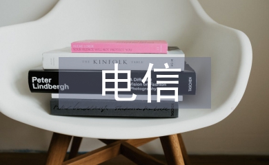 電信經(jīng)理工作思路