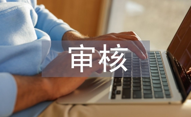 審核實習個人總結