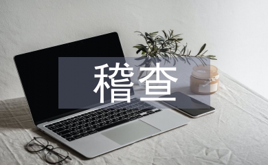 稽查工作要點