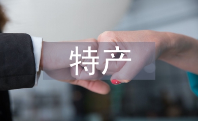 電子商務(wù)特產(chǎn)銷(xiāo)售系統(tǒng)技術(shù)分析