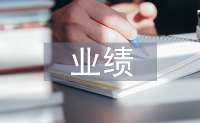 財務總監業績總結