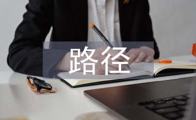 企業財務信息化建設路徑探討