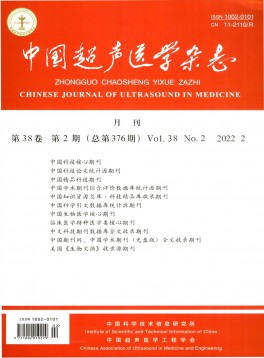 中國超聲醫(yī)學雜志