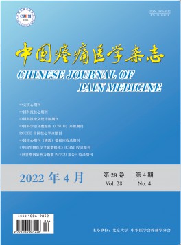 中國疼痛醫(yī)學雜志